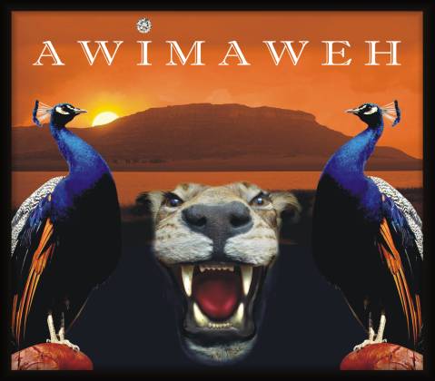 Awimaweh - The African Connecton