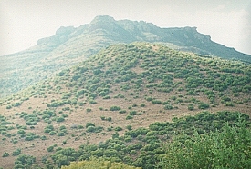 heuwel1.jpg (58061 bytes)